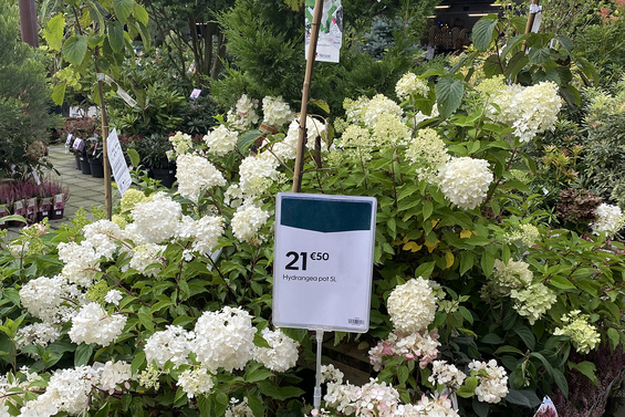 - Klicken zum Vergrößern