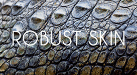 MDV Robuskin®