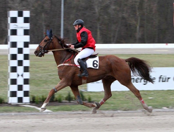 MDV race: Queiros de Nancras crosses the finish line first